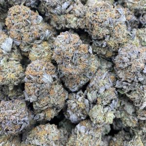 Platinum Bubba
