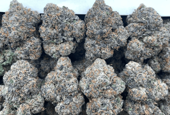 Lemon Zots